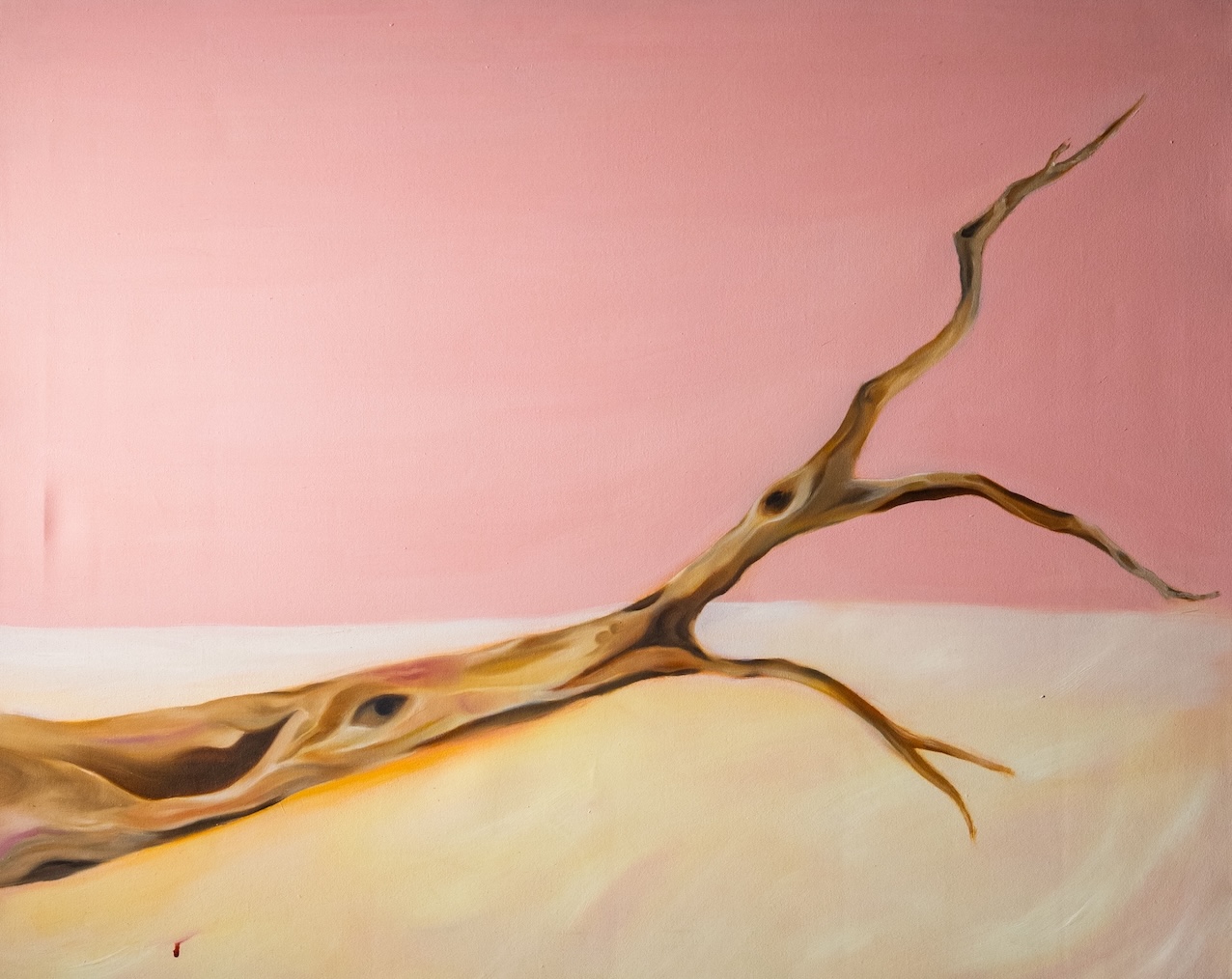 N.Meera Irshad, Arshi Irshad , marginalised , oil on canvas